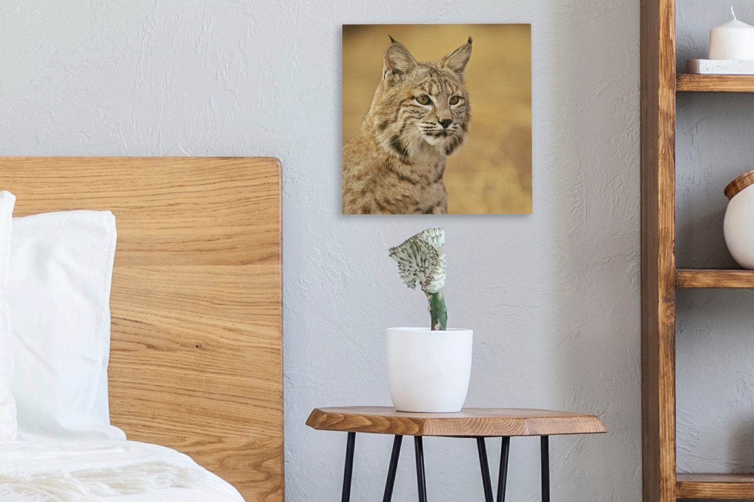 Bilder - St), - für Leinwandbild OneMillionCanvasses® Wohnzimmer Leinwand Schlafzimmer Gras, Luchs Braun (1