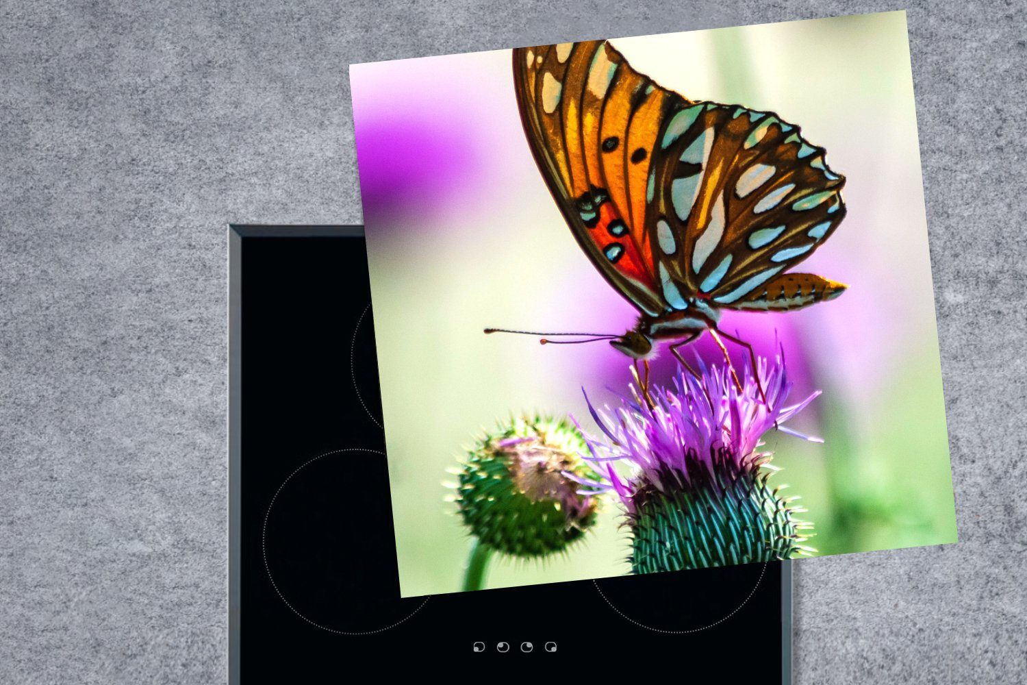 Vinyl, Ceranfeldabdeckung, küche Blumen - Arbeitsplatte 78x78 (1 cm, für Herdblende-/Abdeckplatte Schmetterling MuchoWow Insekten, tlg), -