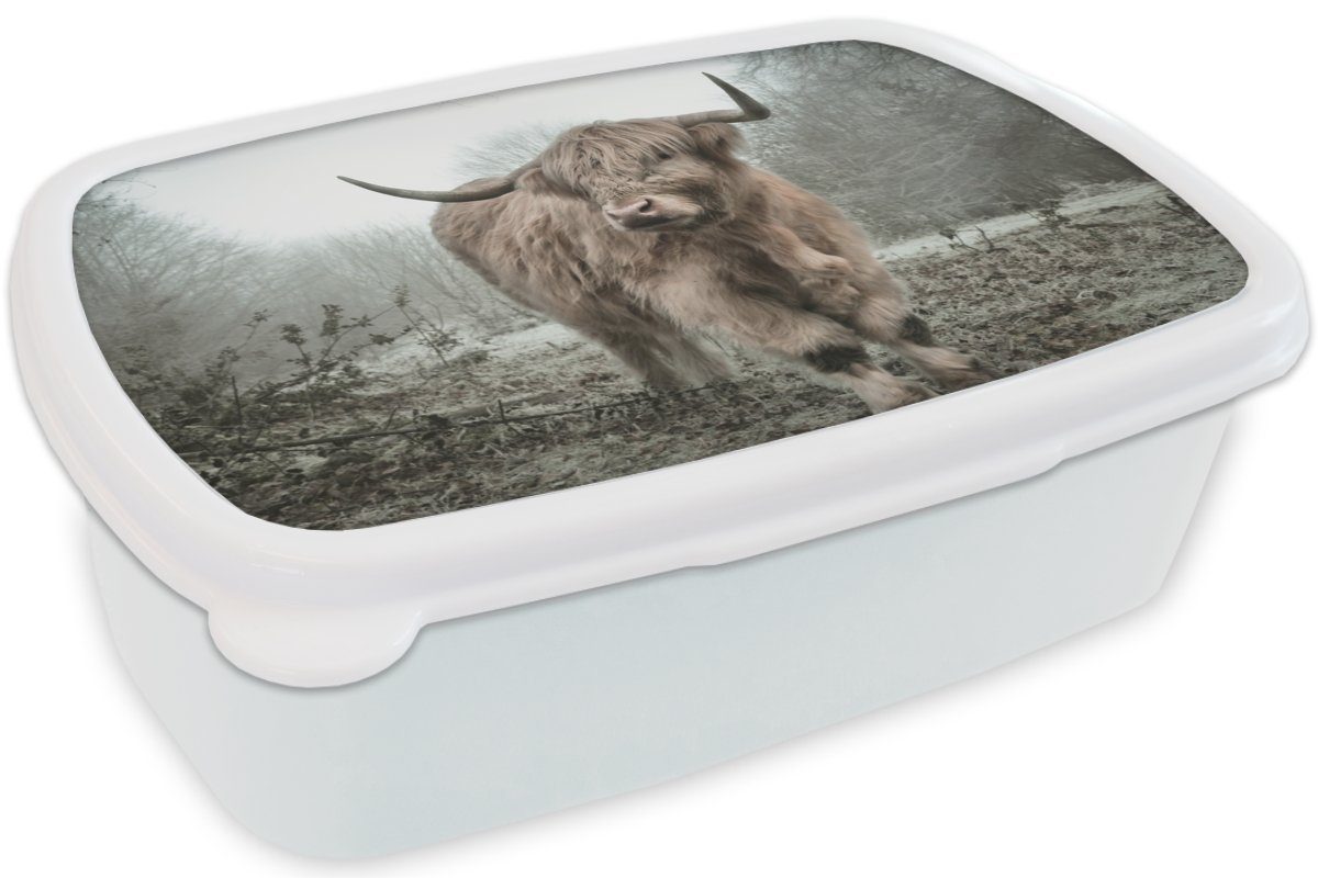 MuchoWow Lunchbox Schottische Highlander - für Brotdose, und Natur Herbst (2-tlg), Erwachsene, für Mädchen und weiß - Jungs Wildtiere Tiere Kunststoff, Brotbox Wald, - - Kinder 