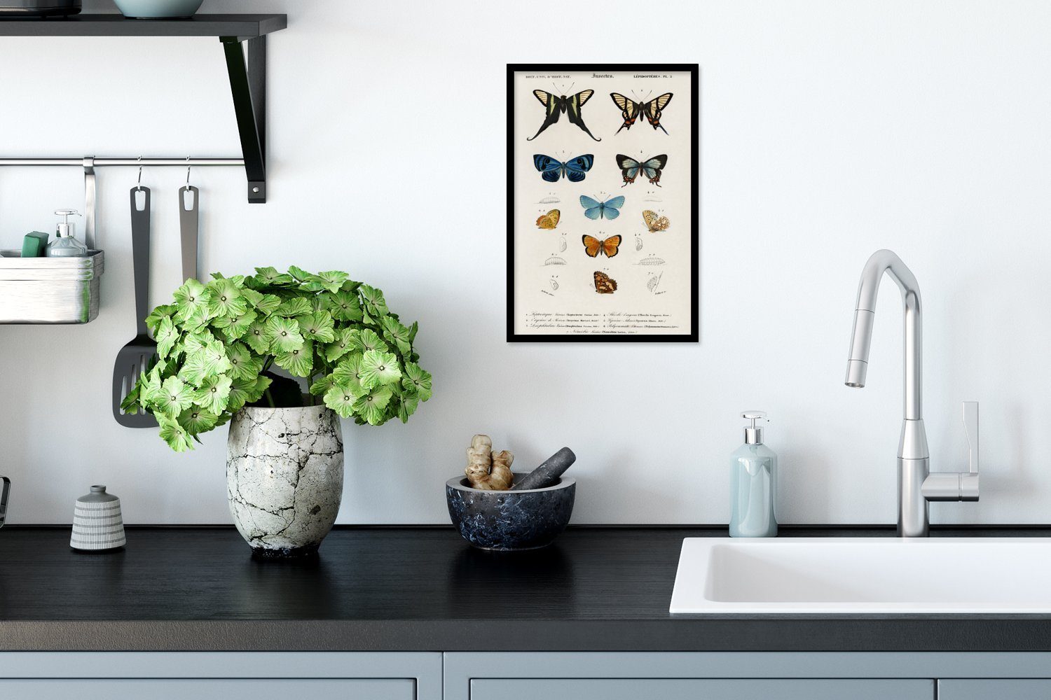 Poster Schmetterling Gerahmtes Vintage (1 Wandposter, Poster, Schwarzem MuchoWow St), Bilder, Bilderrahmen - Wanddeko, Insekten, -