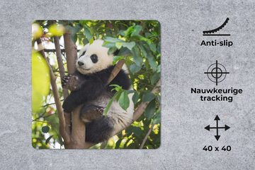 MuchoWow Gaming Mauspad Panda - Tier - Baum (1-St), Mousepad mit Rutschfester Unterseite, Gaming, 40x40 cm, XXL, Großes