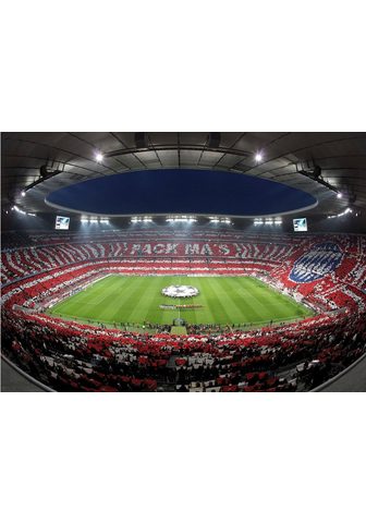  Фотообои »Bayern München St...
