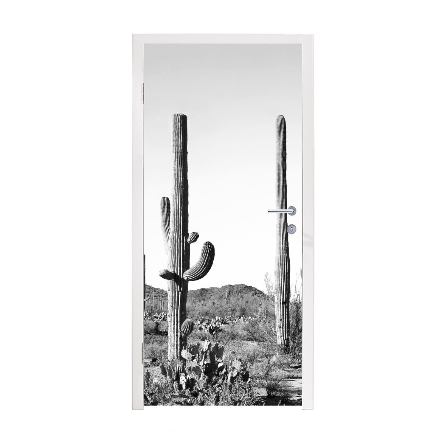 - Tür, MuchoWow cm Matt, 75x205 weiß Natur Landschaft, - Türtapete für - St), Fototapete bedruckt, (1 Türaufkleber, und Kakteen Schwarz