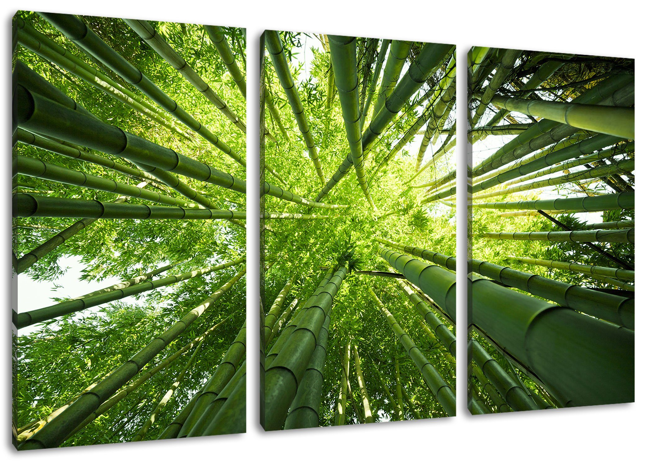 St), fertig Leinwandbild 3Teiler Bambus Zackenaufhänger Bambus, inkl. Grüner bespannt, (1 Leinwandbild Pixxprint Grüner (120x80cm)