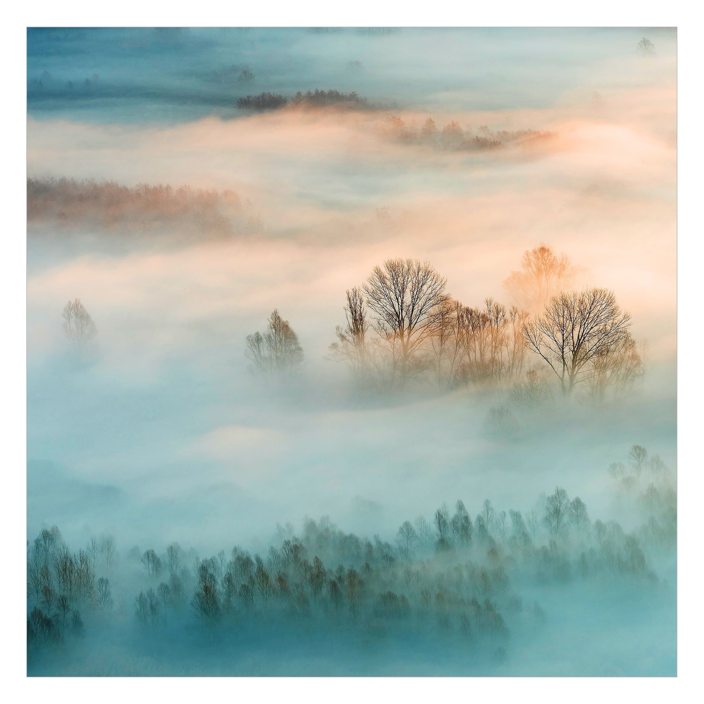 Bilderdepot24 Fototapete Wald Nebel Sonnenaufgang Natur günstig online kaufen