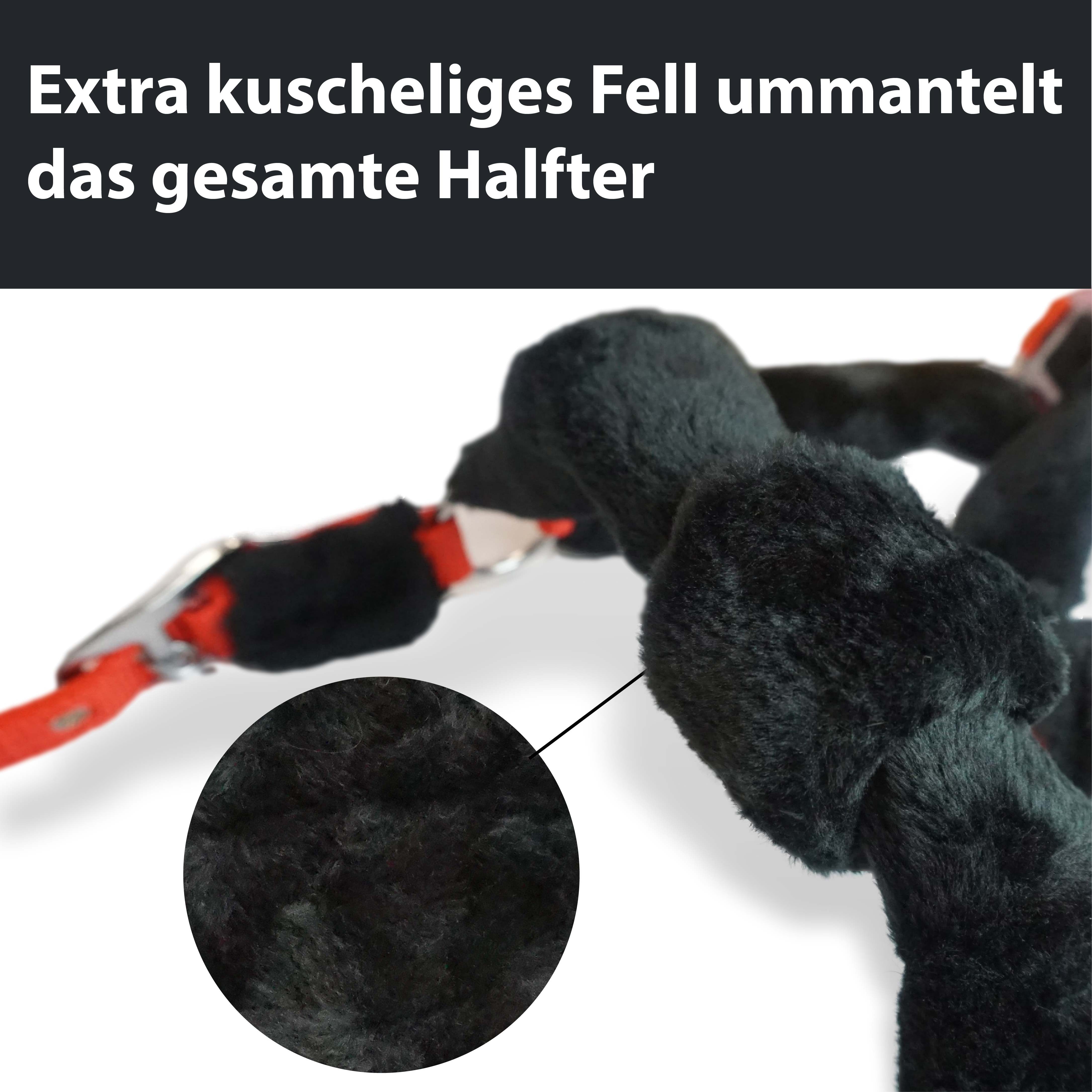 Pferdelinis Fellhalfter Pferde Fellhalfter mit Führstrick, Panikhaken, Fell an Nasen & Genickriemen