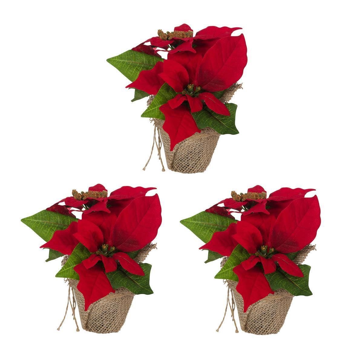 Winterliche Kunstpflanze 3 Stk. Weihnachtsstern Künstlich Christstern Poinsettie Dekoblume Rot, Bambelaa!