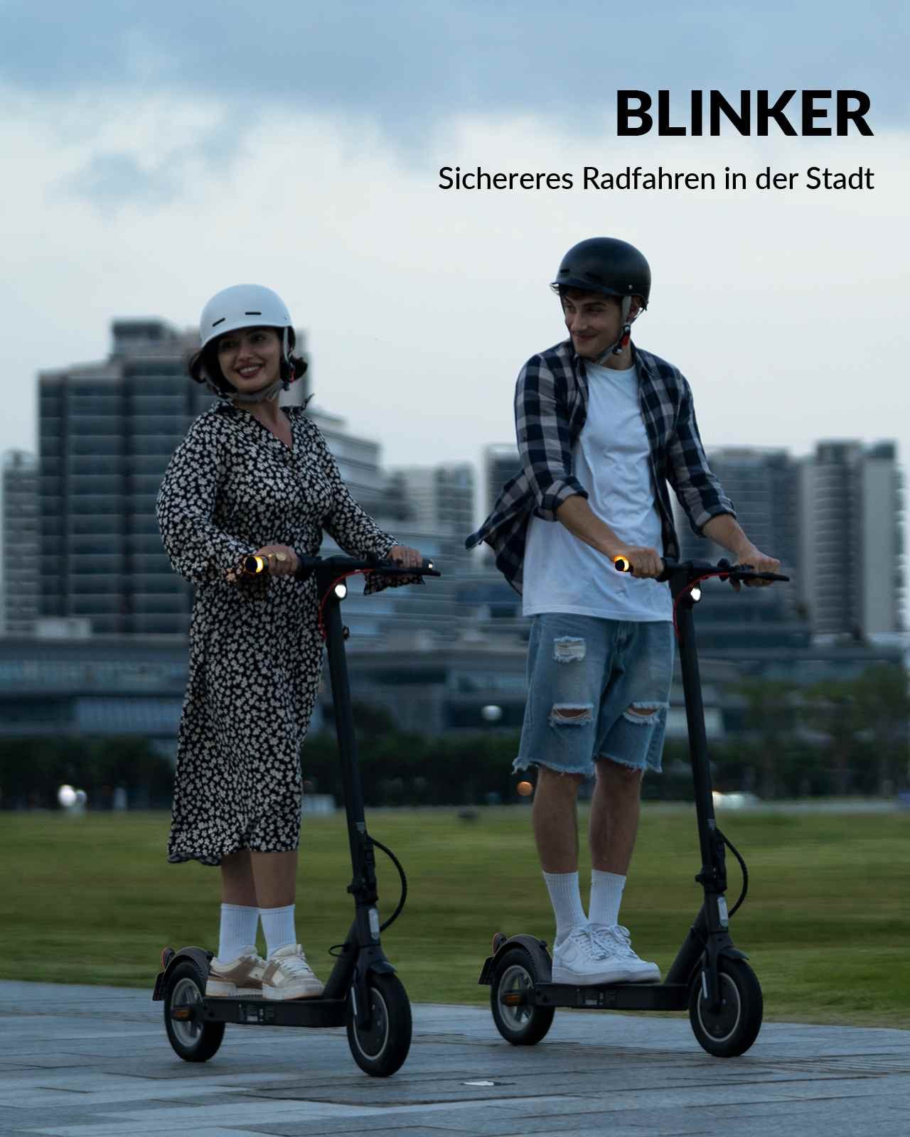 5TH WHEEL E-Scooter V30 Pro mit Straßenzulassung 350W Blinker App Federung10 Zoll, 20 km/h, Diebstahlschutz, App-Unterstützung, bis 30 km Reichweite
