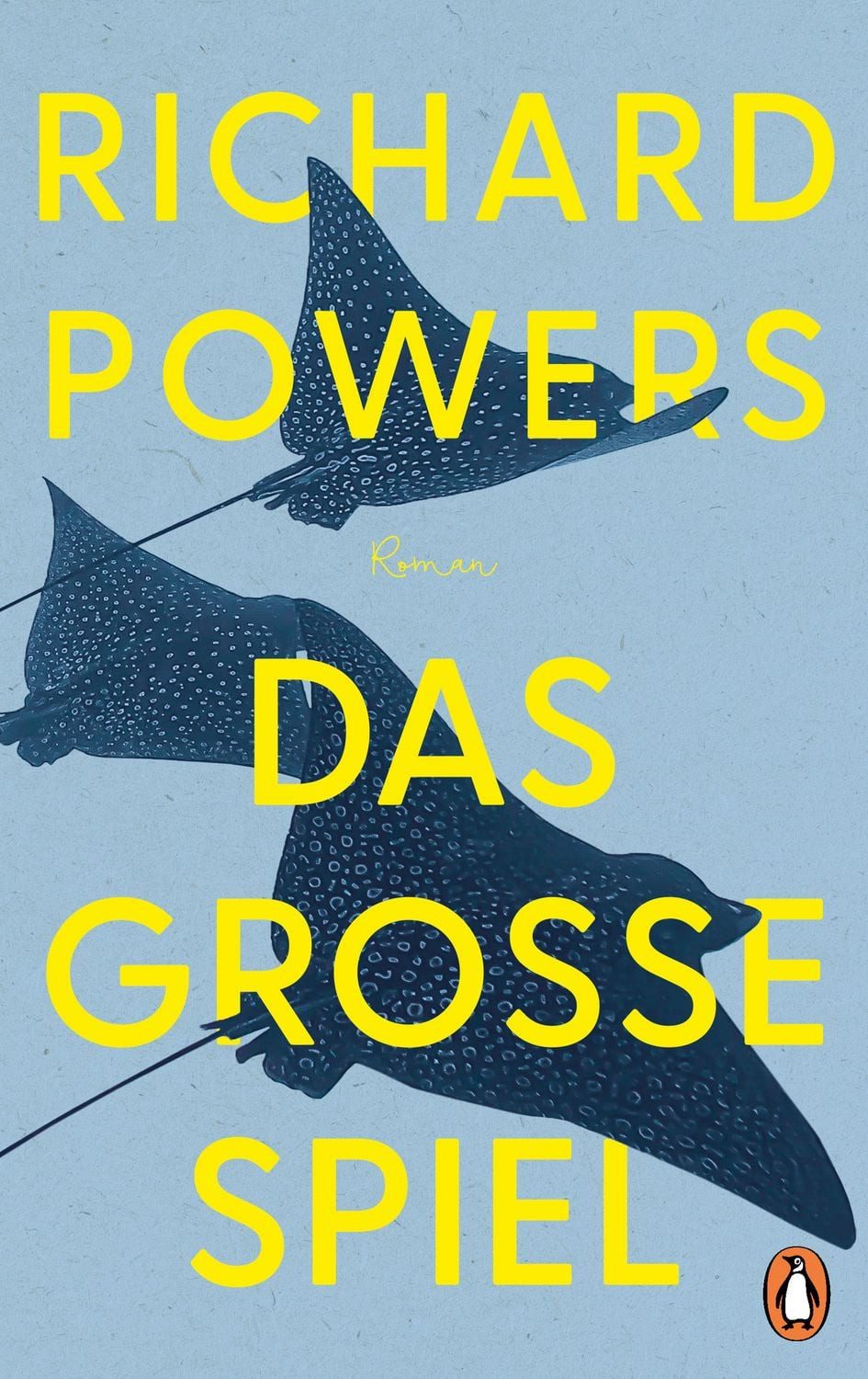 Das große Spiel / Richard Powers