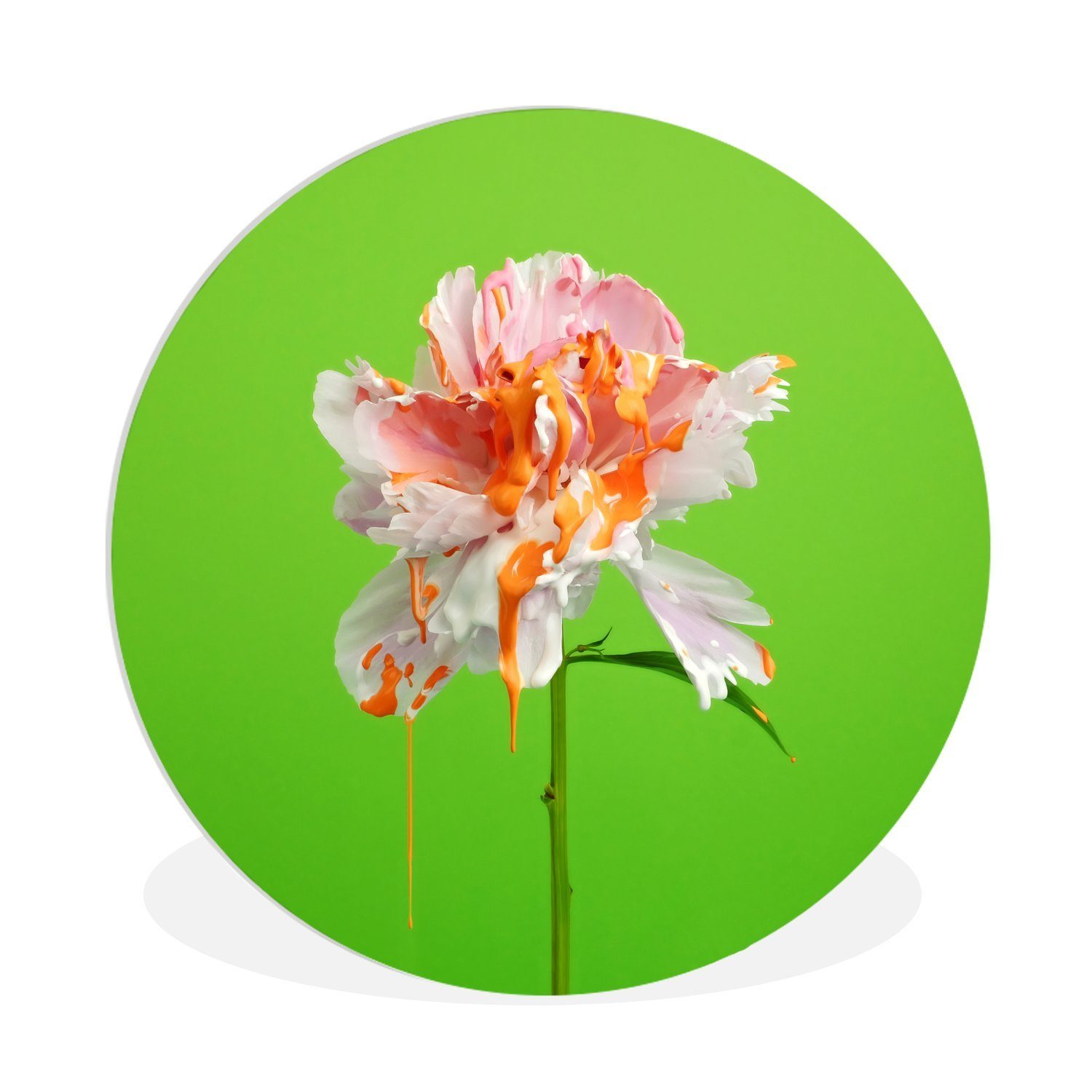 (1 Rundes - St), Wanddekoration Blume Farben, Forex, Wandbild, 30x30 - MuchoWow Wohnzimmer, cm Gemälde Farbe Kreis