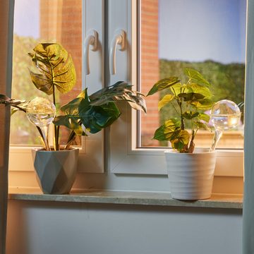 relaxdays Bewässerungskugel Bewässerungskugeln Glas 4er Set, Transparent