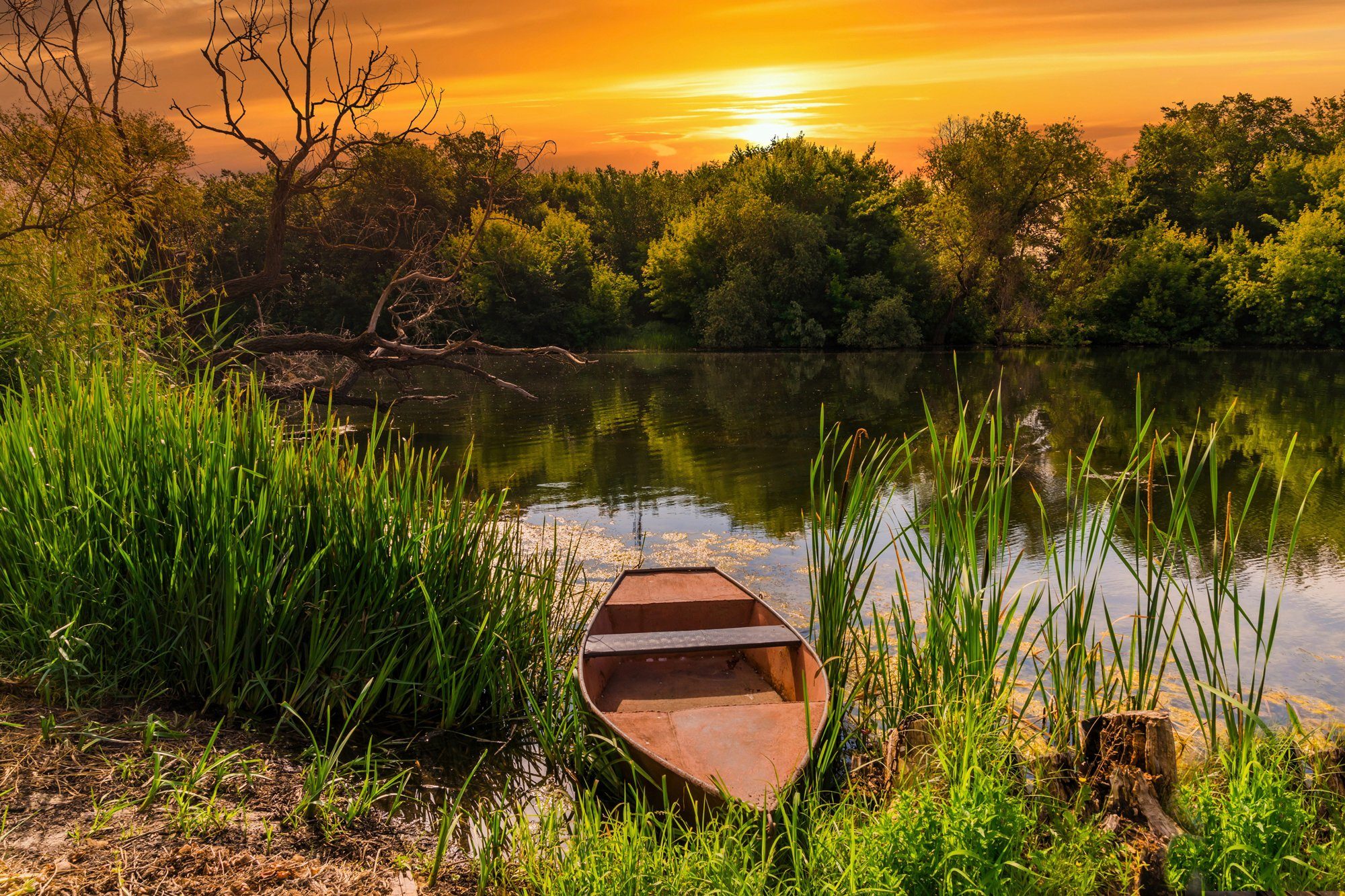 Papermoon Fototapete STRAND-SEE BOOT WALD SONNENUNTERGANG BÄUME FLUSS IDYLLE