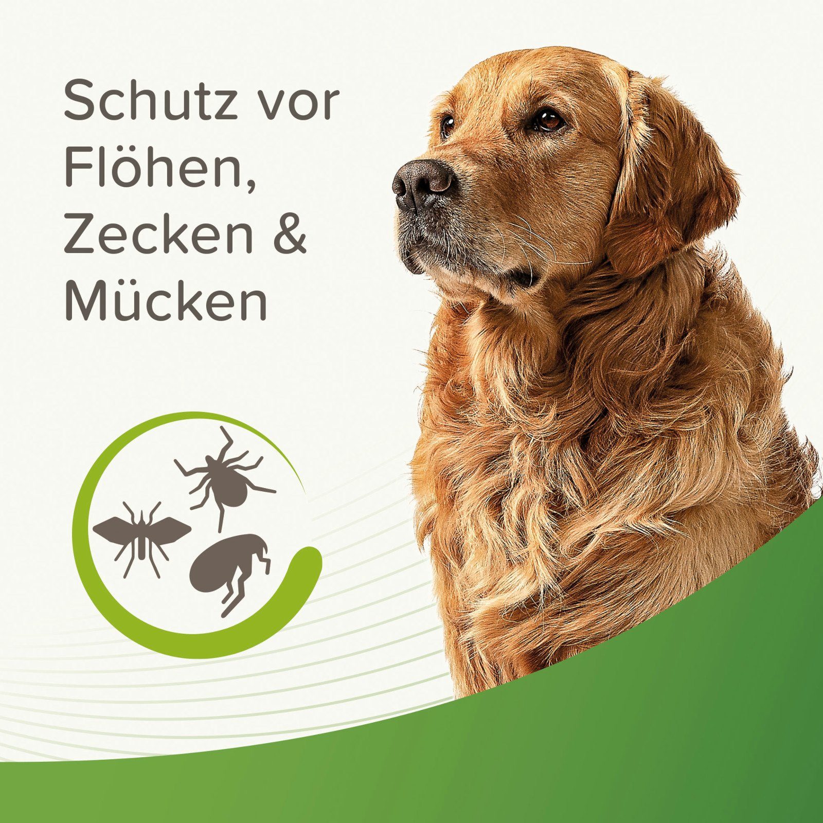 beaphar Zeckenschutzmittel Zecken- und Flohschutz Spray für Hunde - 150 ml, 150 ml