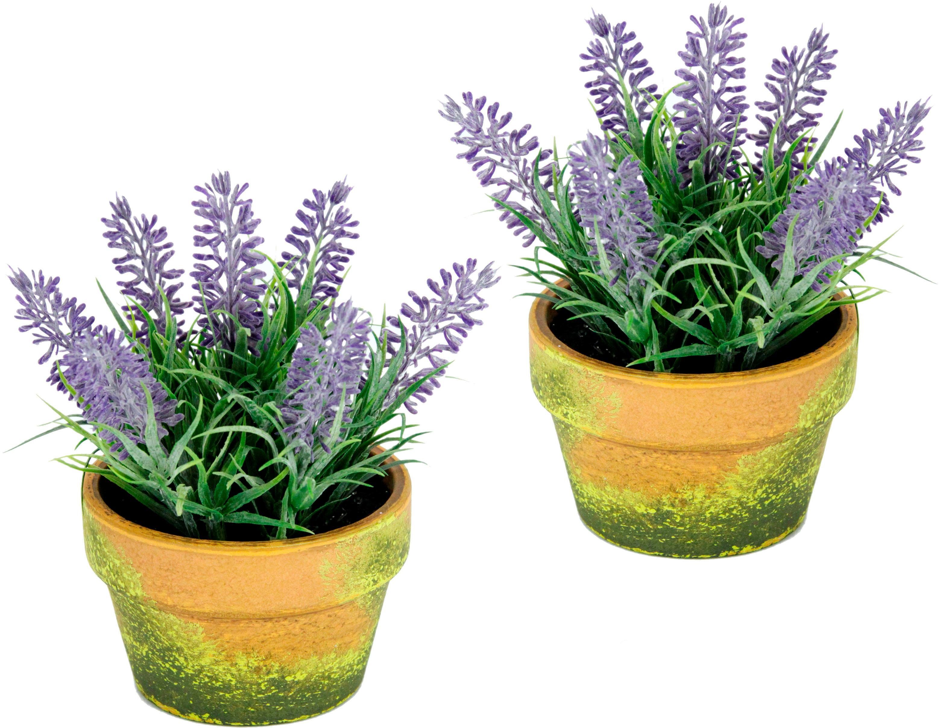 Kunstblume Lavendel, Höhe 18 cm, im Topf, Naturgetreue Kunstpflanze