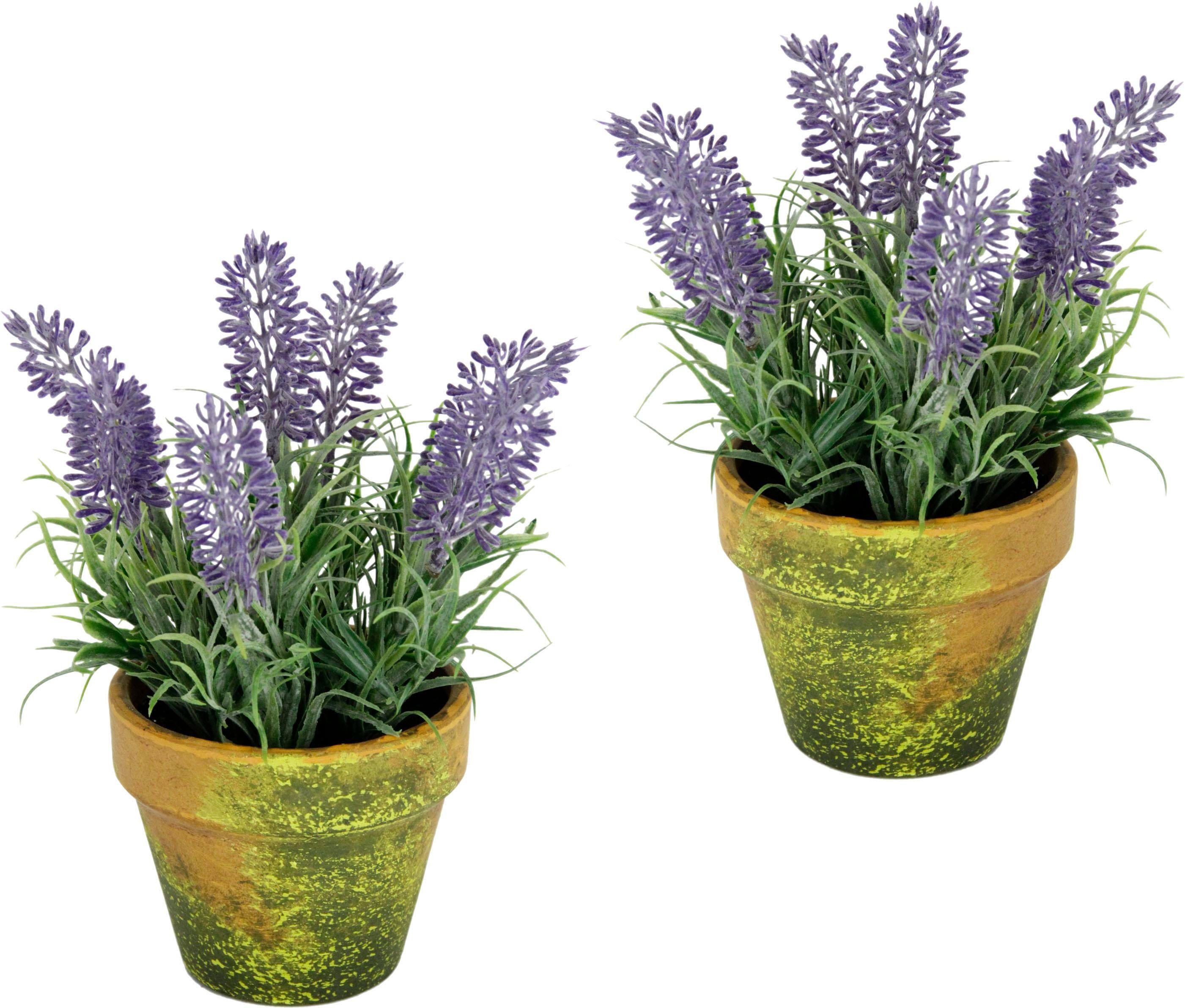 Kunstblume, Höhe 16 cm, Lavendel im Topf, Naturgetreue Kunstpflanze