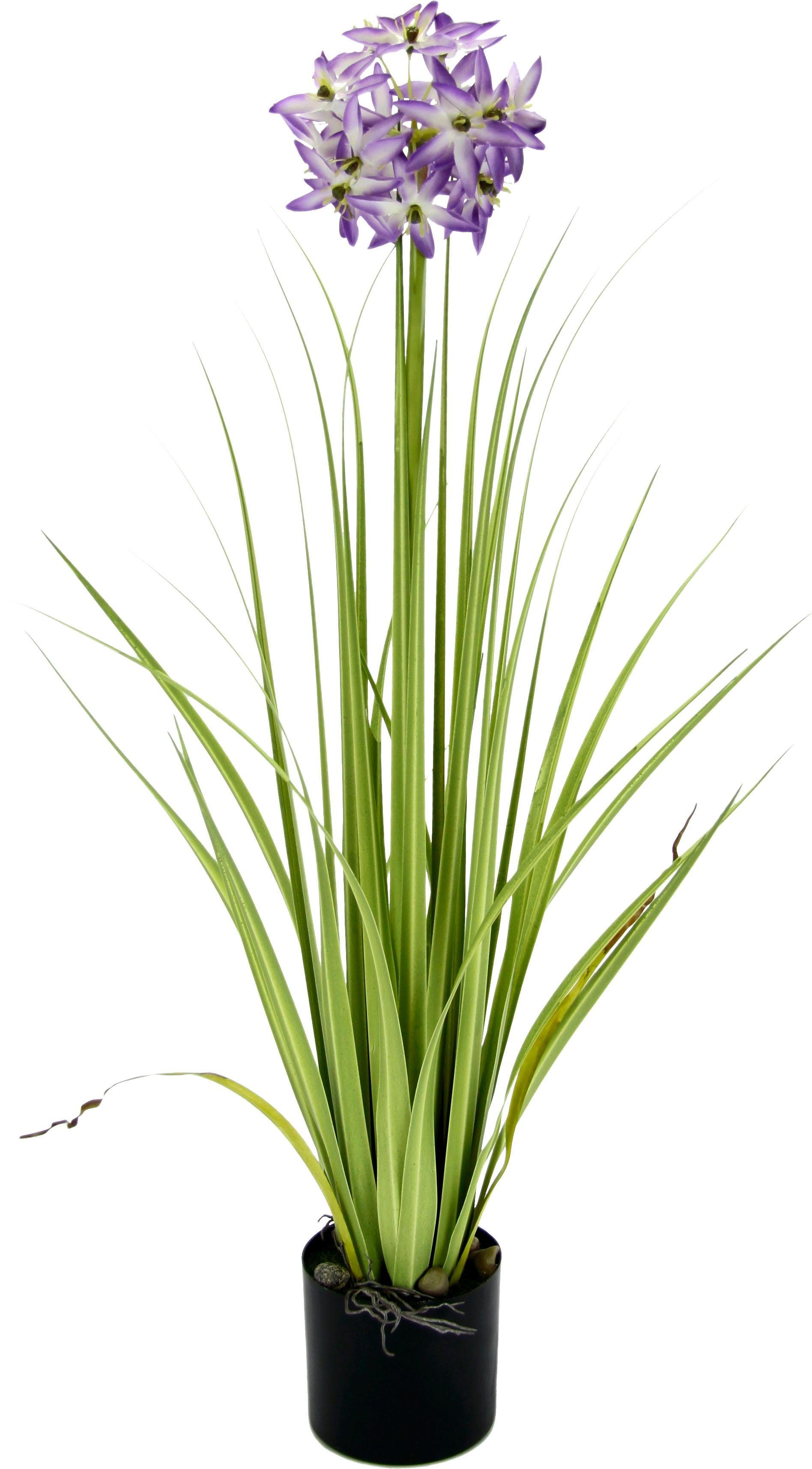 Kunstblume Allium, I.GE.A., Höhe 68 cm, im Topf-Otto