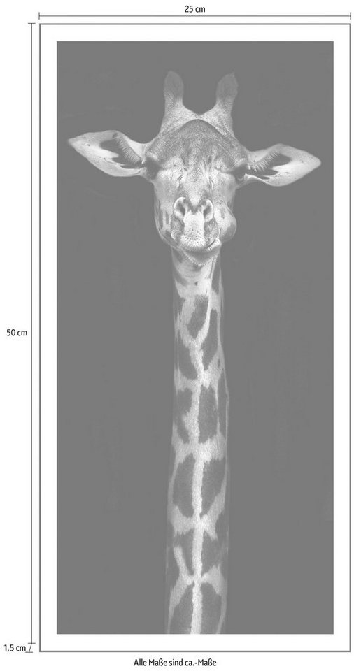 Spiegelprofi GmbH Bild »Giraffe«, hochwertiger Kunstdruck, Rahmen schwarz-HomeTrends