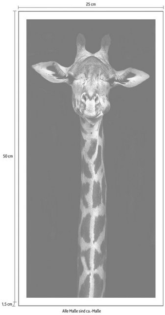 Spiegelprofi GmbH Bild »Giraffe«, hochwertiger Kunstdruck, Rahmen schwarz-Otto