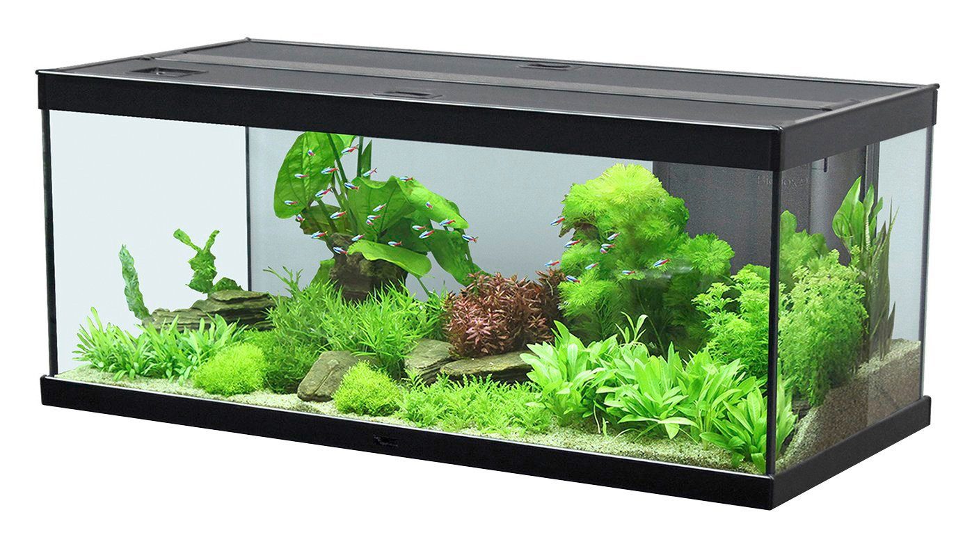 AQUATLANTIS Set: Aquarium »Style 100 LED 2.0«, 124 Liter online kaufen