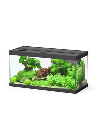 AQUATLANTIS Комплект: аквариум »Style 80 LED...