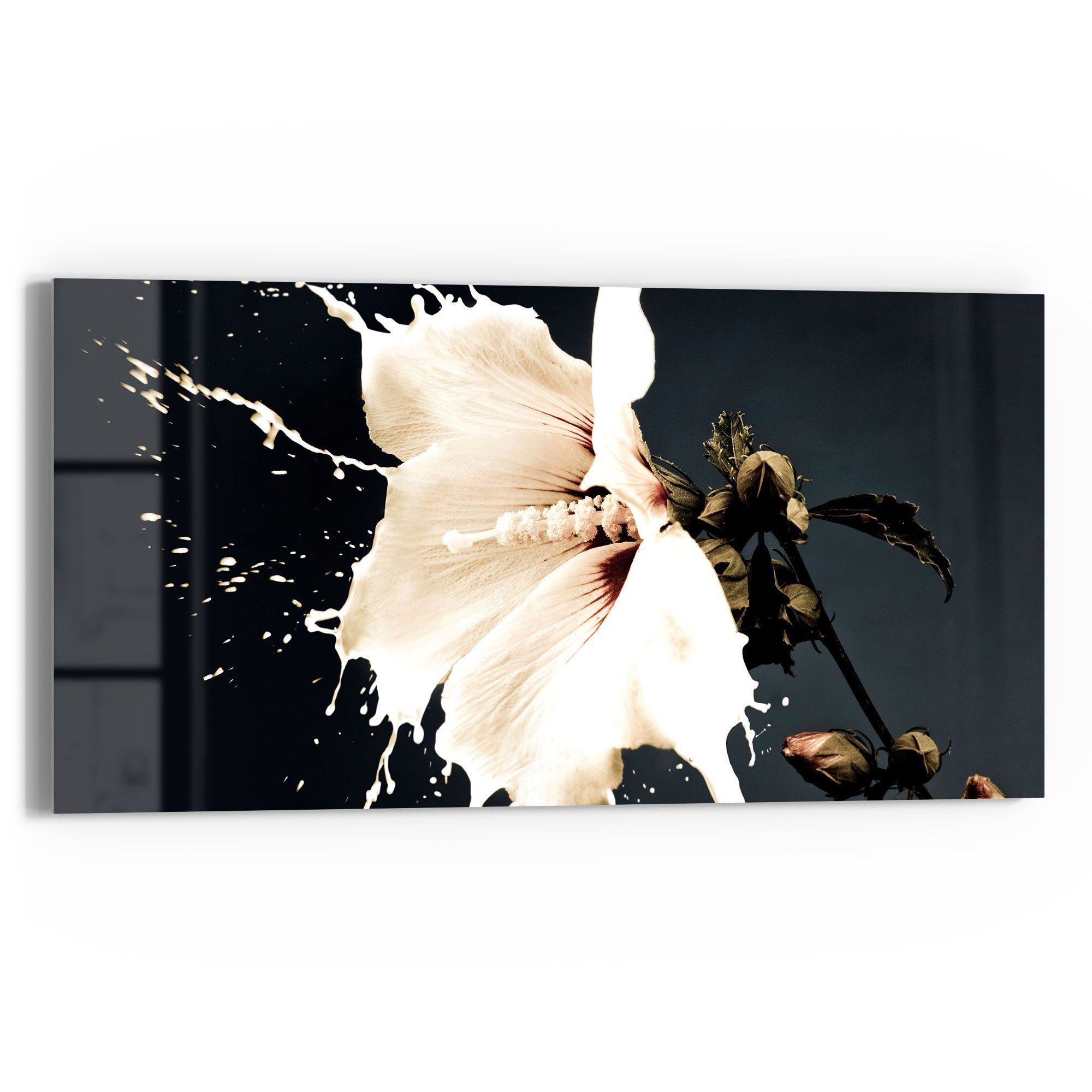 DEQORI Glasbild 'Milchige Blüte', 'Milchige Blüte', günstig online kaufen