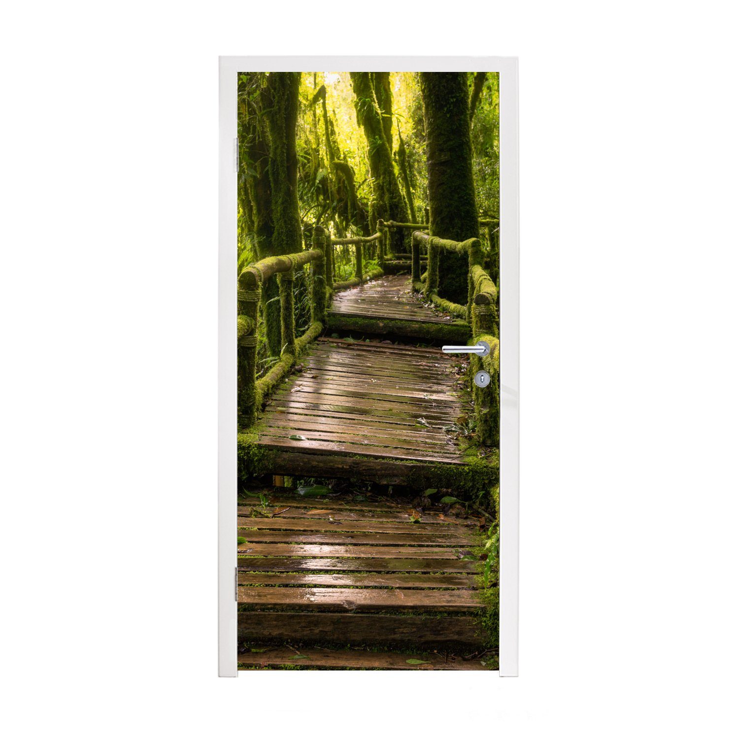 MuchoWow Türtapete Schöner Regenwald und Dschungel, Matt, bedruckt, (1 St), Fototapete für Tür, Türaufkleber, 75x205 cm