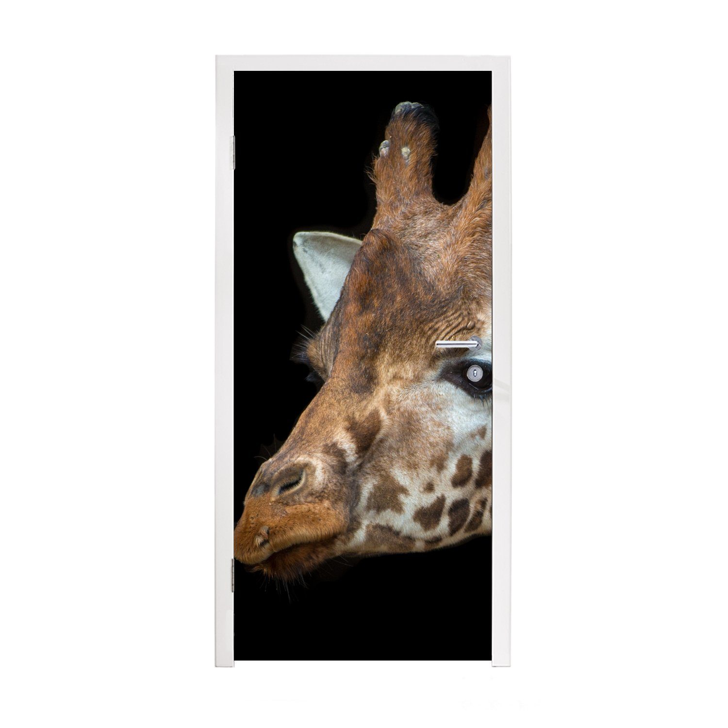 MuchoWow Türtapete Porträt einer Giraffe auf schwarzem Hintergrund, Matt, bedruckt, (1 St), Fototapete für Tür, Türaufkleber, 75x205 cm