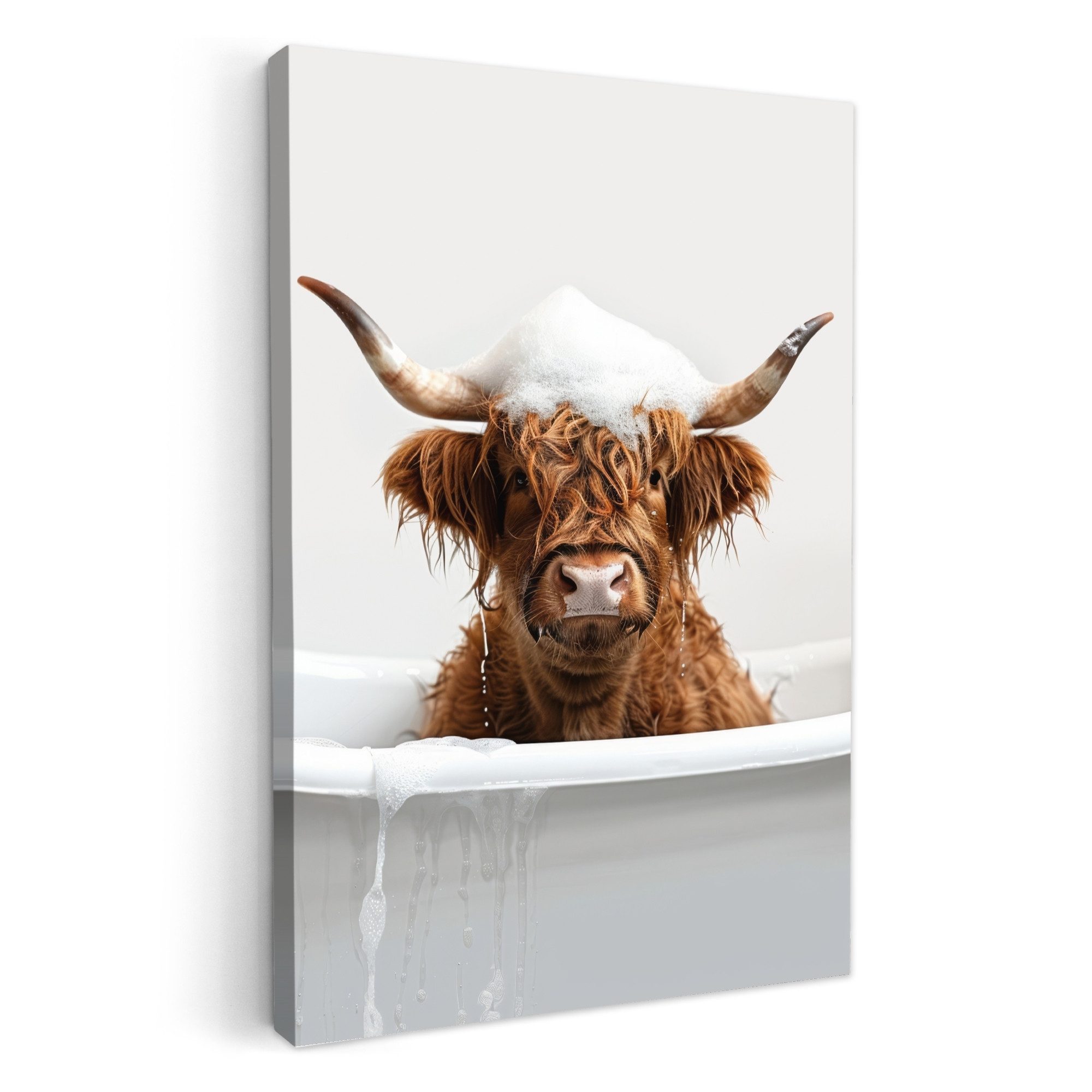 OneMillionCanvasses® Leinwandbild Highlander - Bad - Kuh - Tiere - Schaum, günstig online kaufen