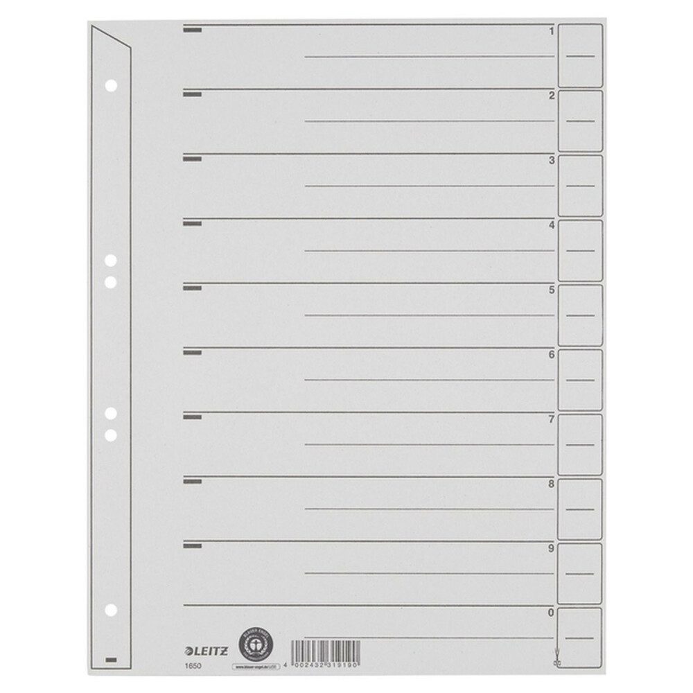 LEITZ Designpapier Leitz 1650 Trennblätter A4 Karton 200g, Grau - 100 Stück