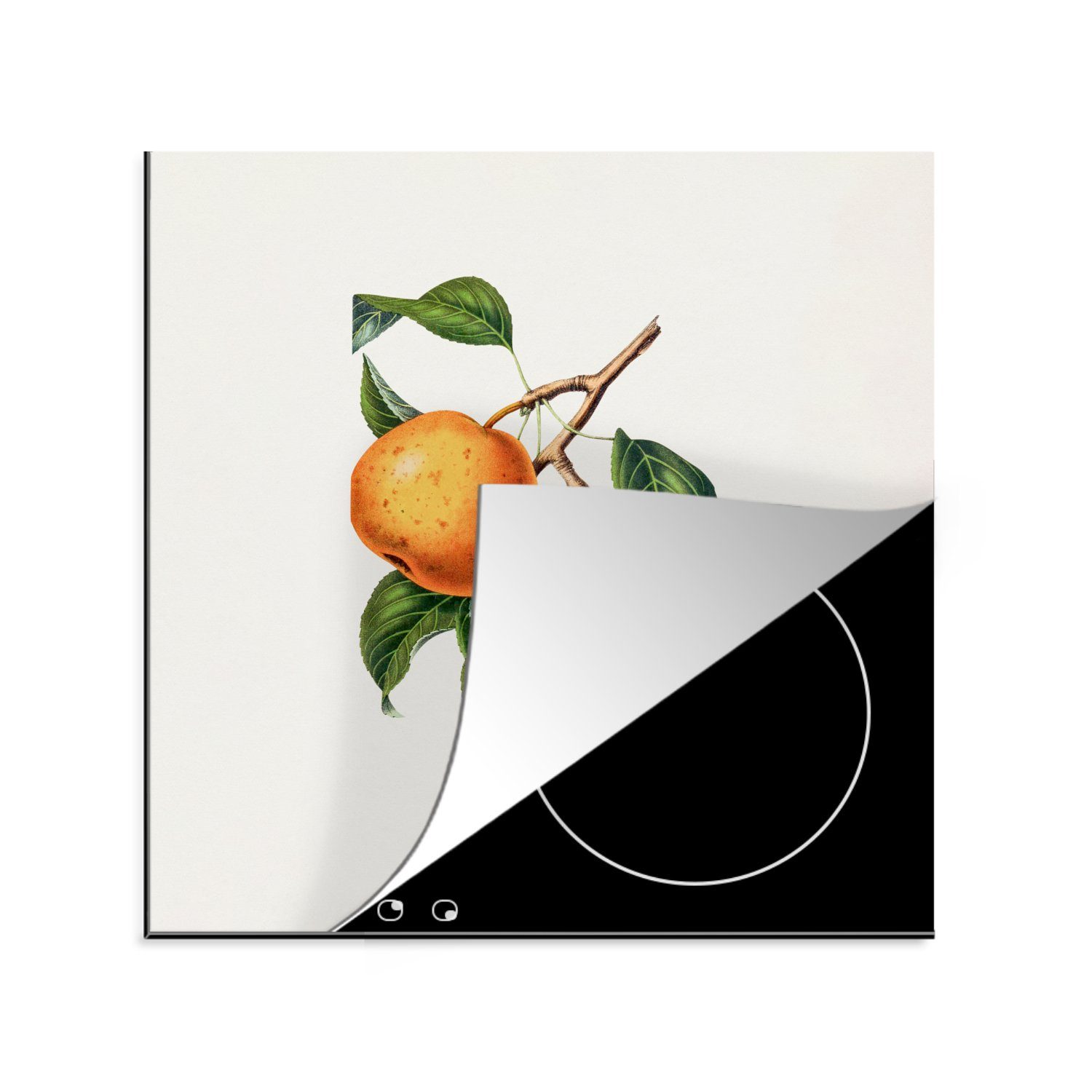 MuchoWow Herdblende-/Abdeckplatte Obst - Orange - Jahrgang, Vinyl, (1 tlg), 78x78 cm, Ceranfeldabdeckung, Arbeitsplatte für küche