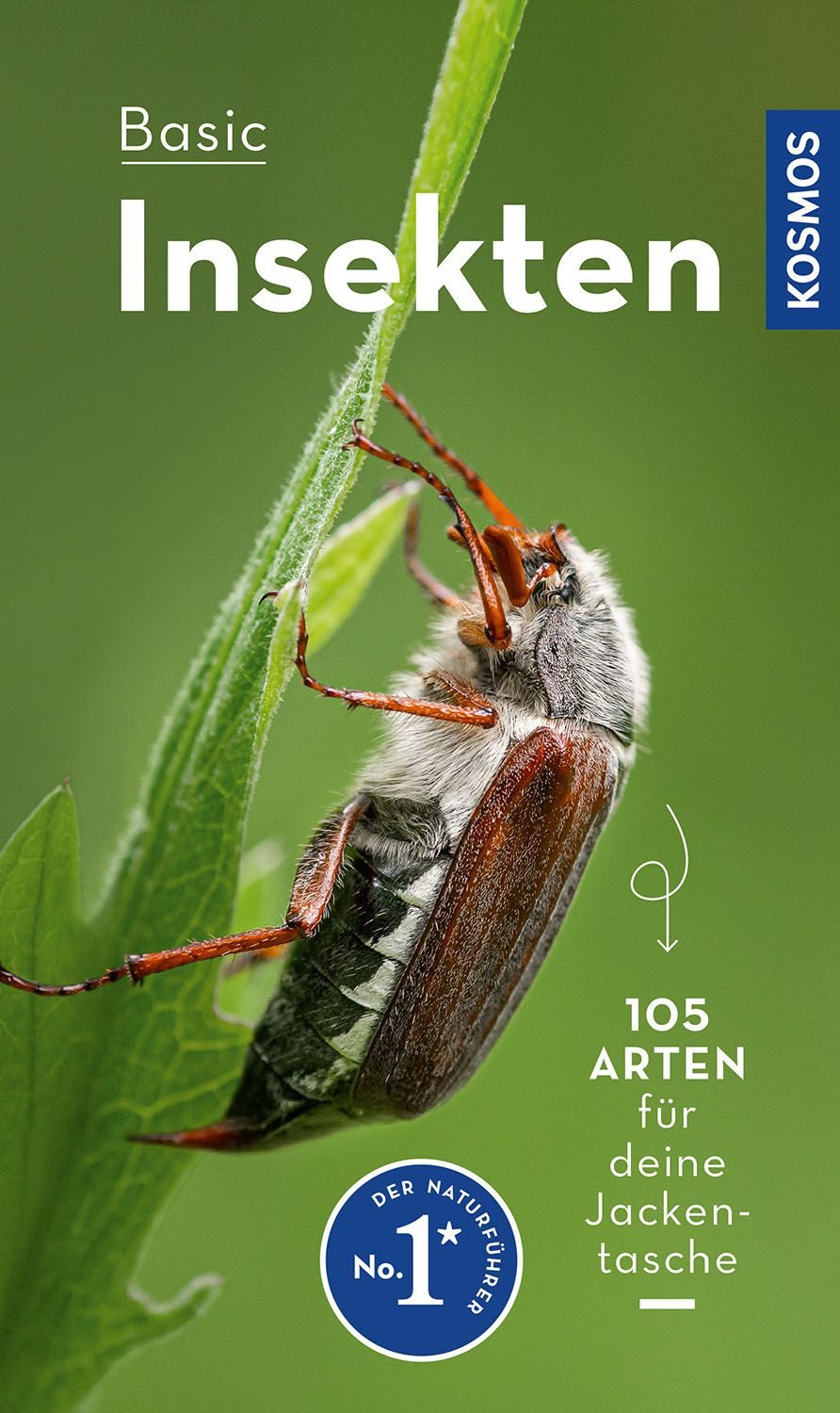 BASIC Insekten 105 Arten einfach und sicher erkennen - In drei Schritt / Roland Gerstmeier