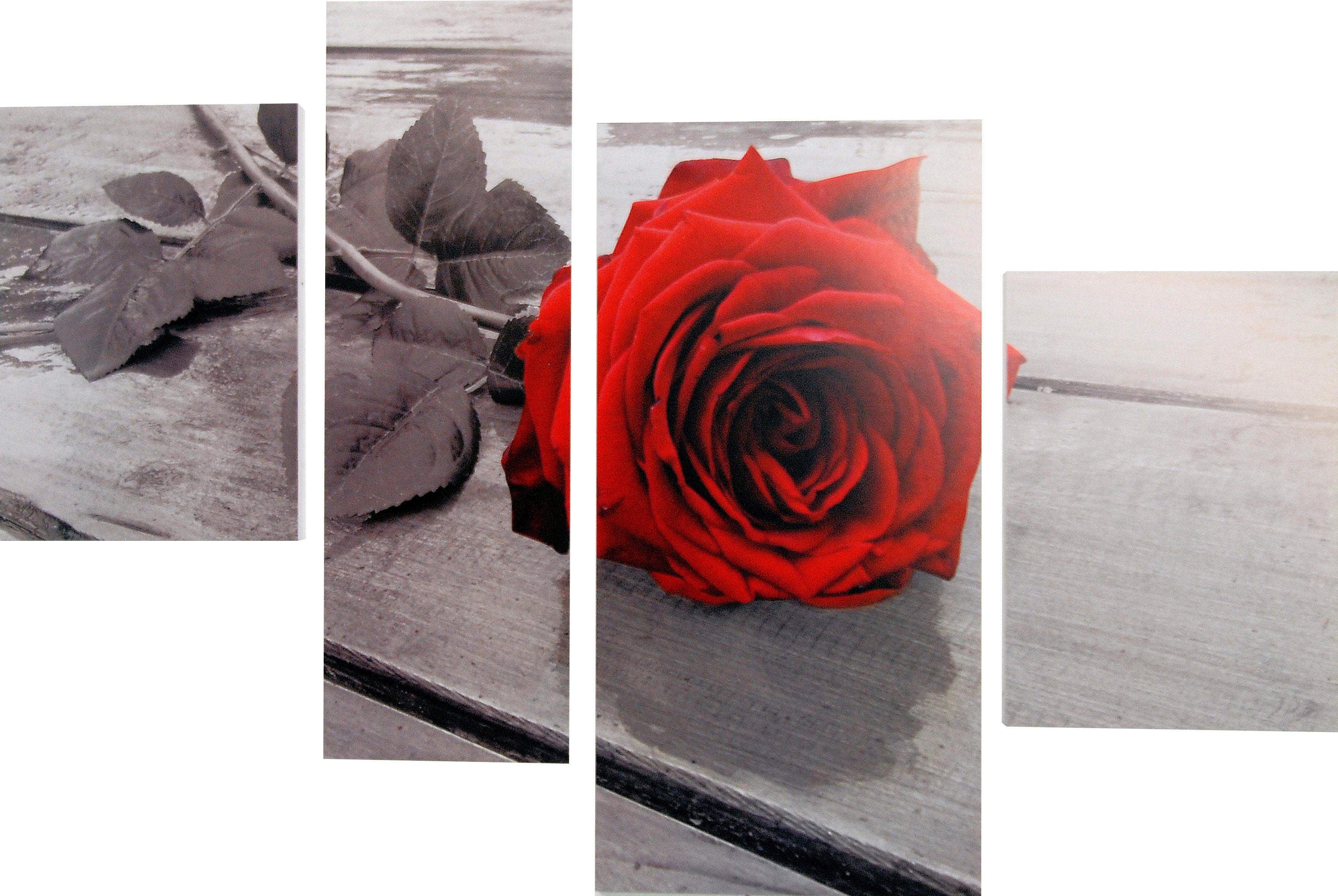 Home affaire Bild »RUMIN / Rose on the floor«-Otto