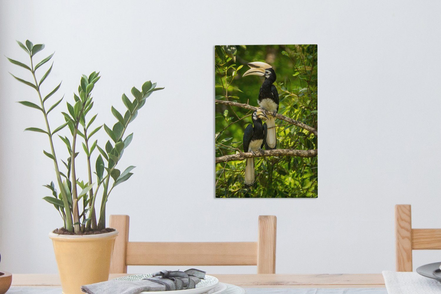 Nashornvögel Gemälde, Leinwandbild cm St), Leinwandbild bespannt - Vögel, 20x30 inkl. OneMillionCanvasses® (1 - Zackenaufhänger, Äste fertig