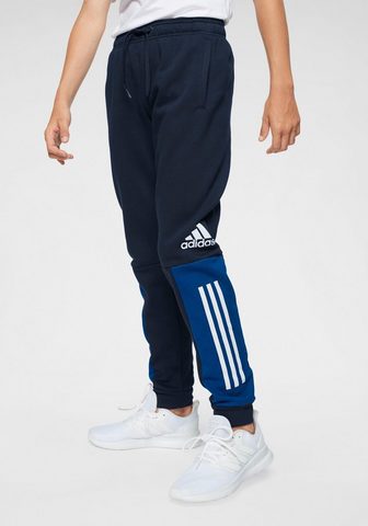 ADIDAS PERFORMANCE Брюки для бега »YOUNG BOY SID бр...