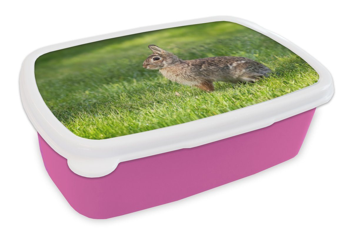 - Snackbox, - Tier, für Brotdose Kunststoff MuchoWow Kunststoff, (2-tlg), Brotbox Erwachsene, Kinder, Lunchbox Gras Mädchen, Kaninchen rosa