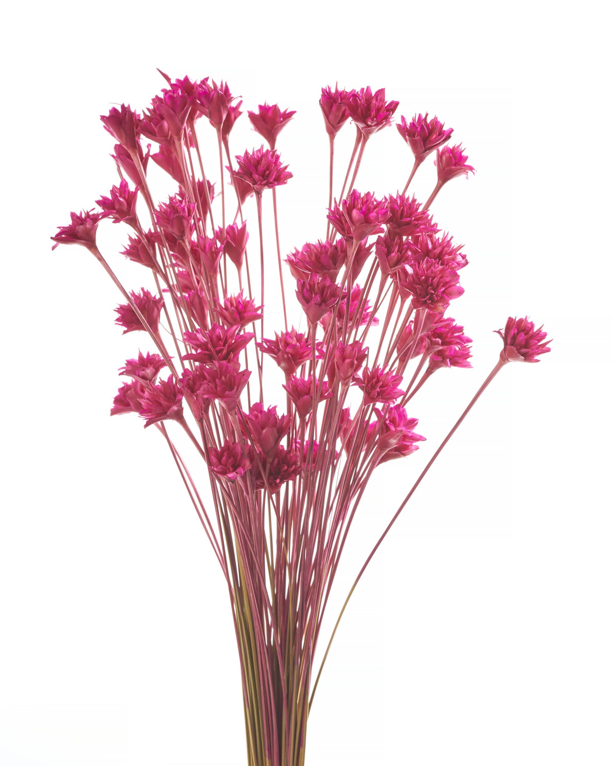 50 Hillflower, cm Kunstpflanze Pink