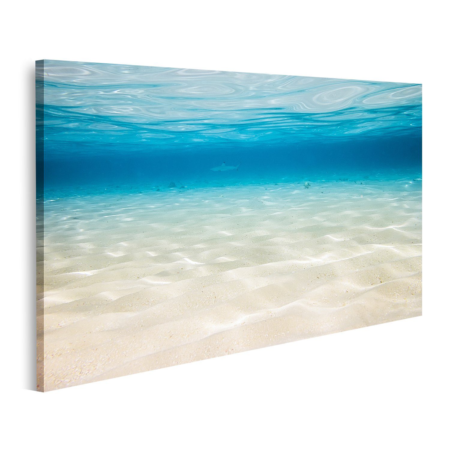 islandburner Leinwandbild Bild auf Leinwand Unterwasserhintergrund mit sandigem Meeresboden Wand