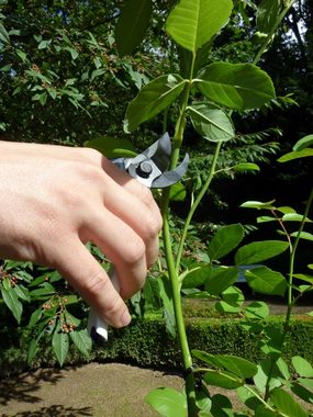 Okatsune Astschere Okatsune 101 Gartenschere für kleine Hände