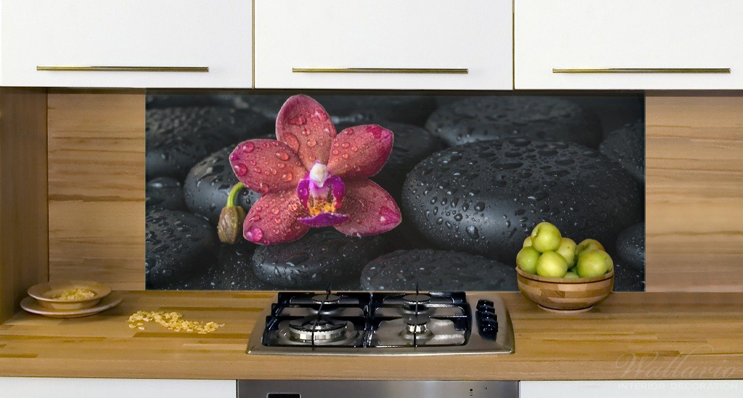 schwarzen Orchideen-Blüte benetzt mit Wallario auf (1-tlg) Küchenrückwand Steinen, Wasser-Tropfen,