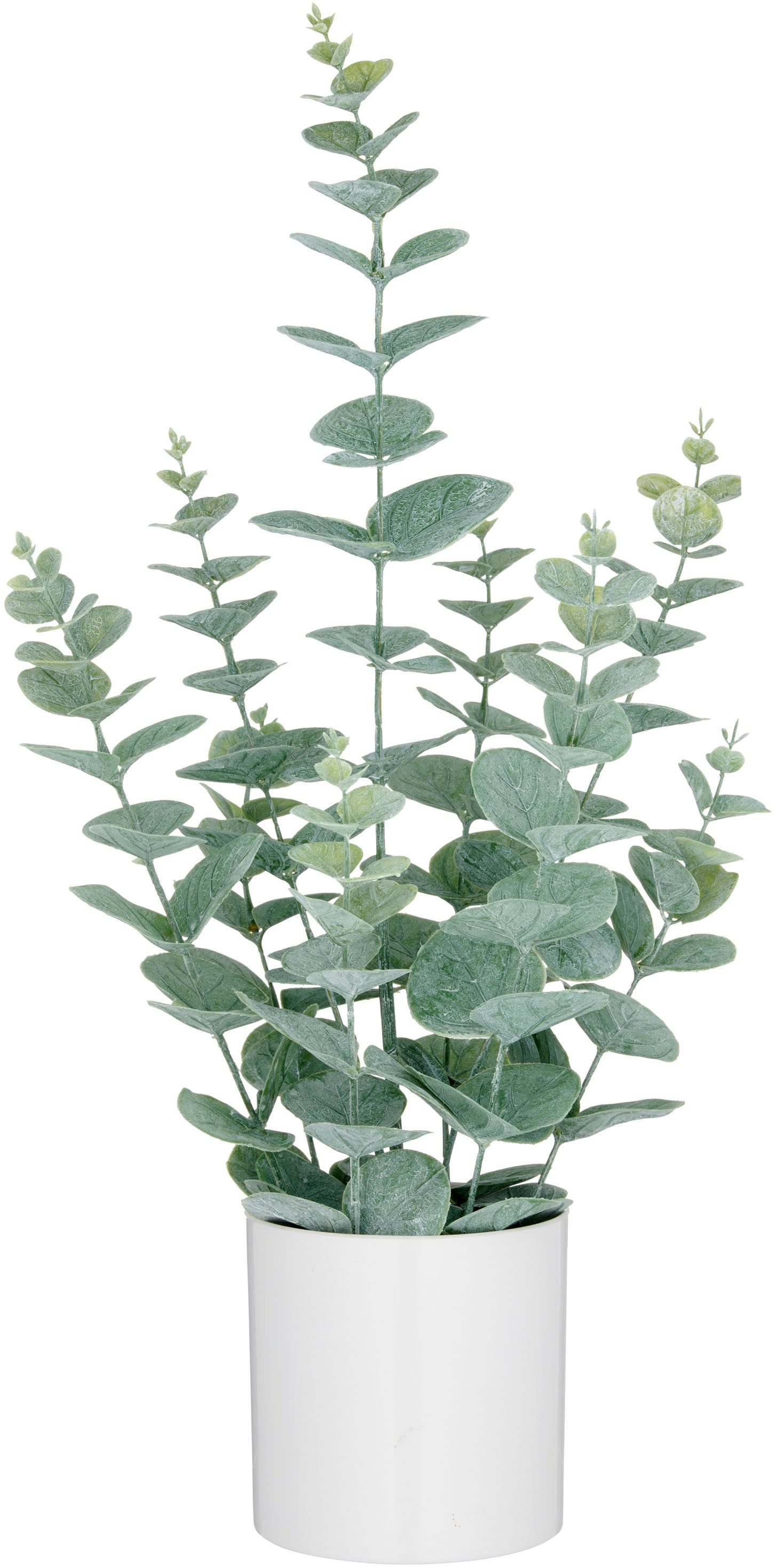 Kunstpflanze Eukalyptus, Creativ green, Höhe 52 cm, mit üppigem Blattwerk günstig online kaufen