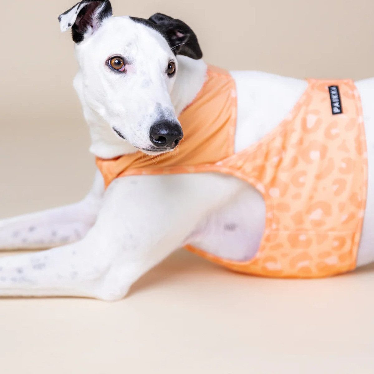 PAIKKA Hundeweste Hunde Kühlweste "Cool Vest" pfirsich