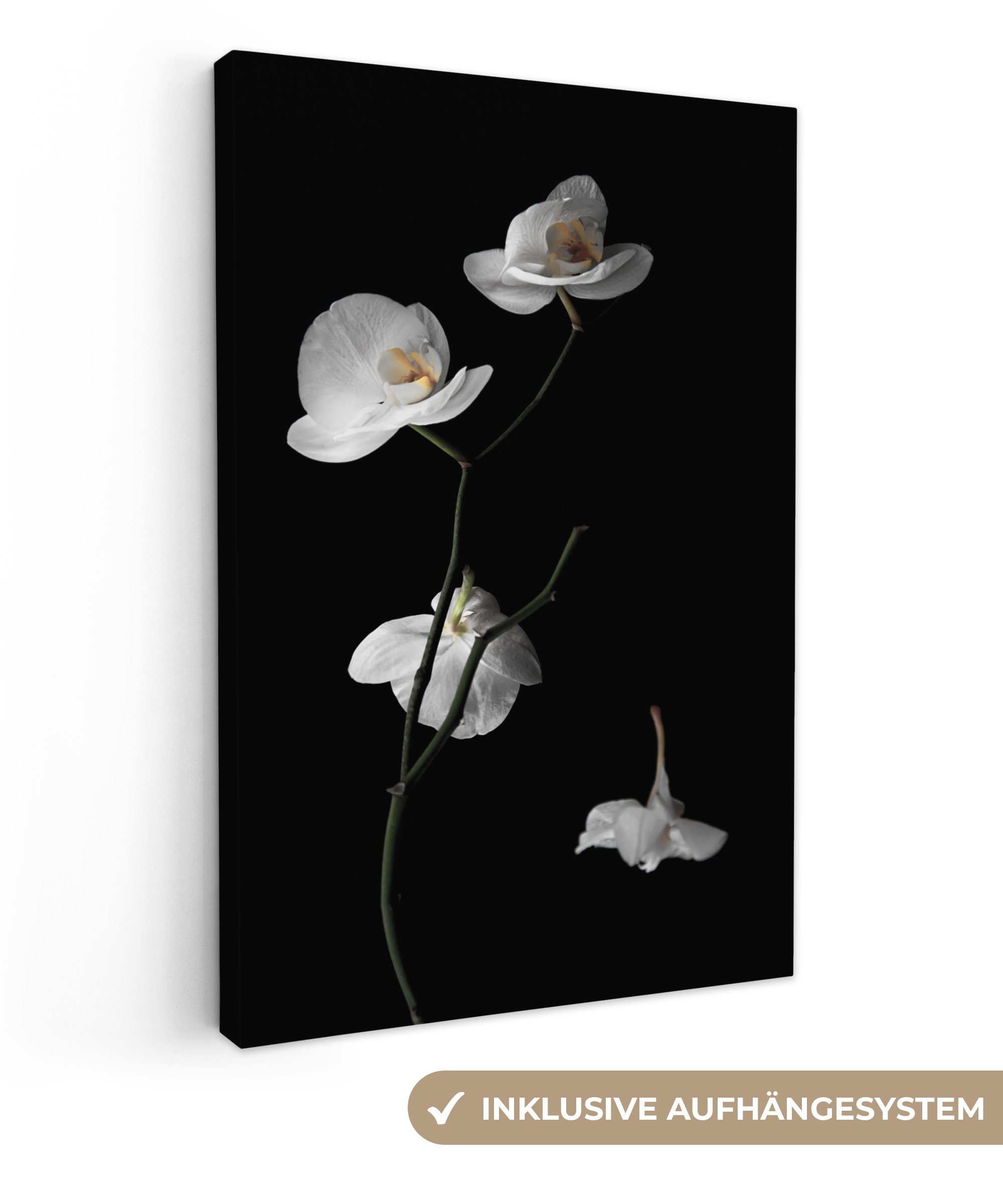 OneMillionCanvasses® Leinwandbild Orchidee - Blumen - Schwarz - Weiß - Stil günstig online kaufen