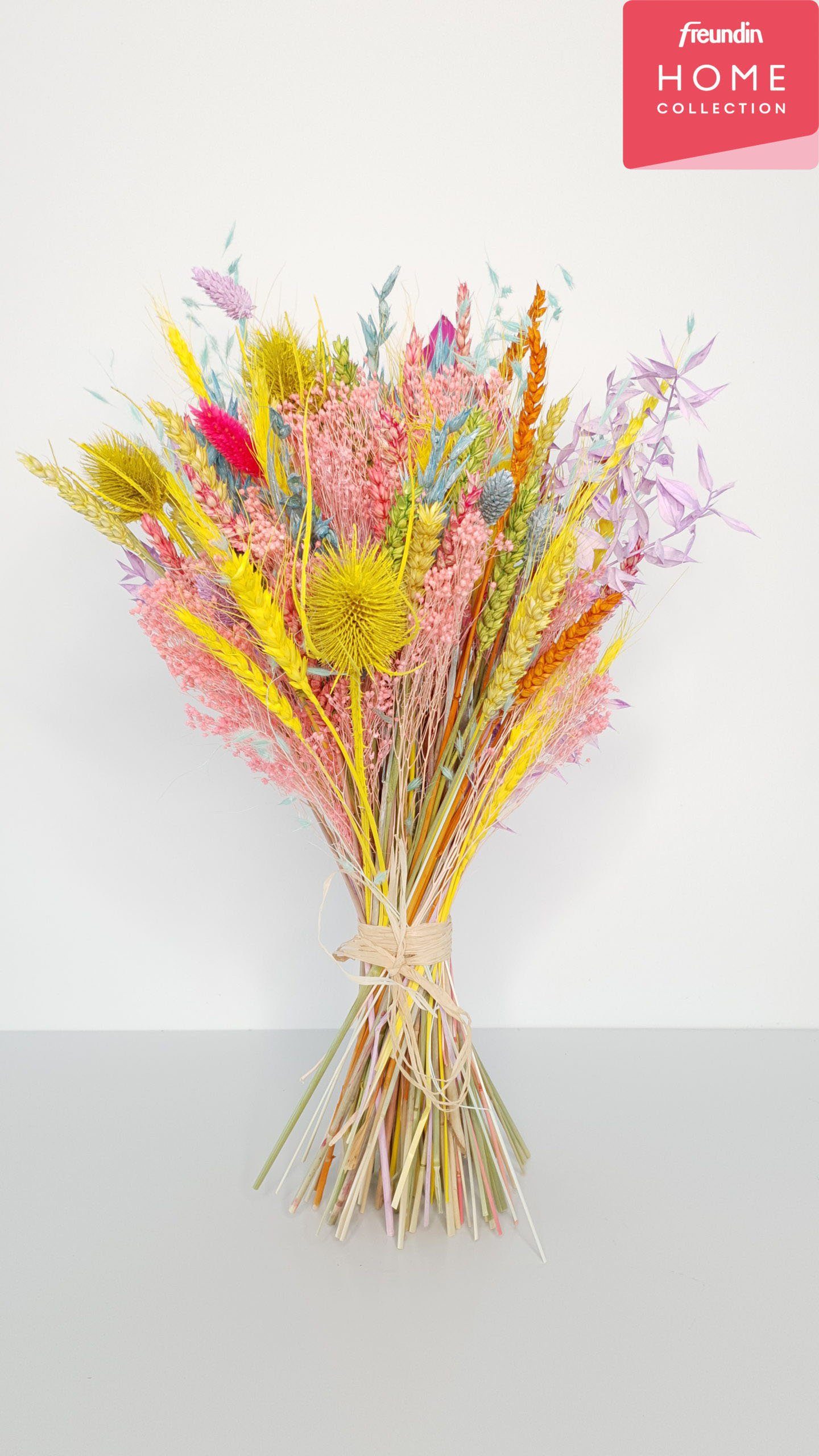 Trockenblume »Lollipop«, freundin Home Collection, Höhe 45 cm, Blumenstrauß-Otto