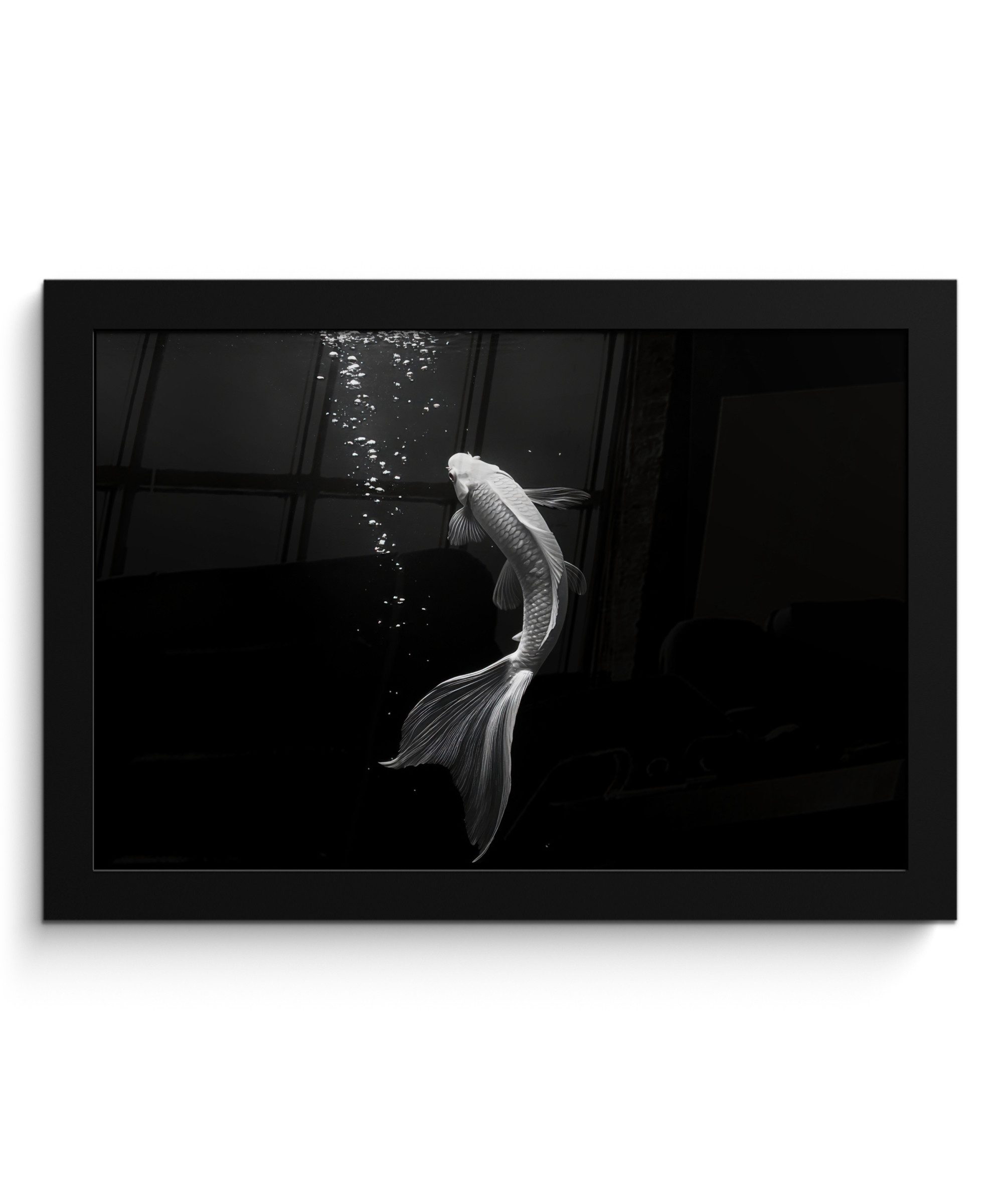 MuchoWow Poster Koi - Fisch - Weiß - Schwarz, (1 St), Wandbilder, Deko Wohnzimmer Schlafzimmer, 30x20 cm