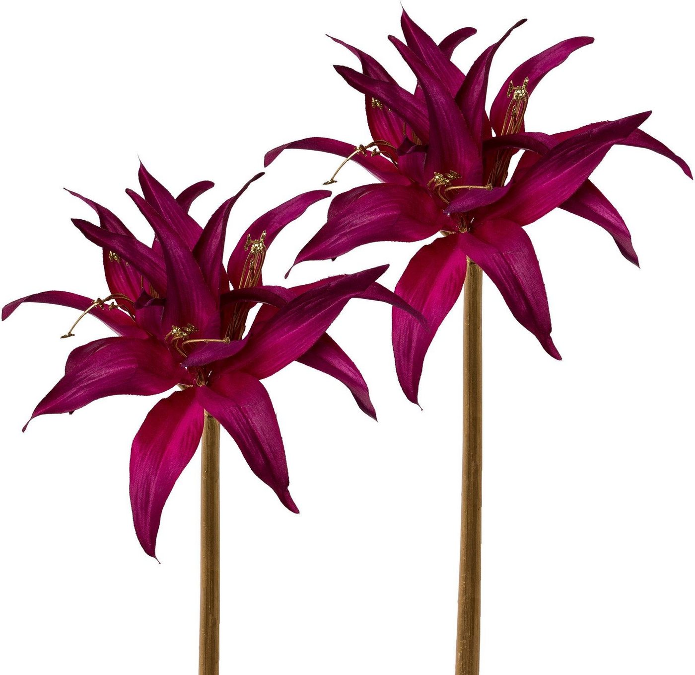 Kunstblume »Amaryllis«, Creativ deco, Höhe 52 cm-HomeTrends