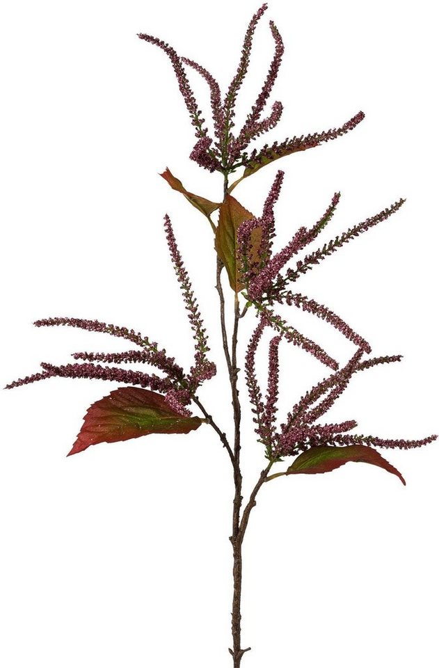 Kunstzweig »Amaranthus«, Creativ deco, Höhe 86 cm-kaufen