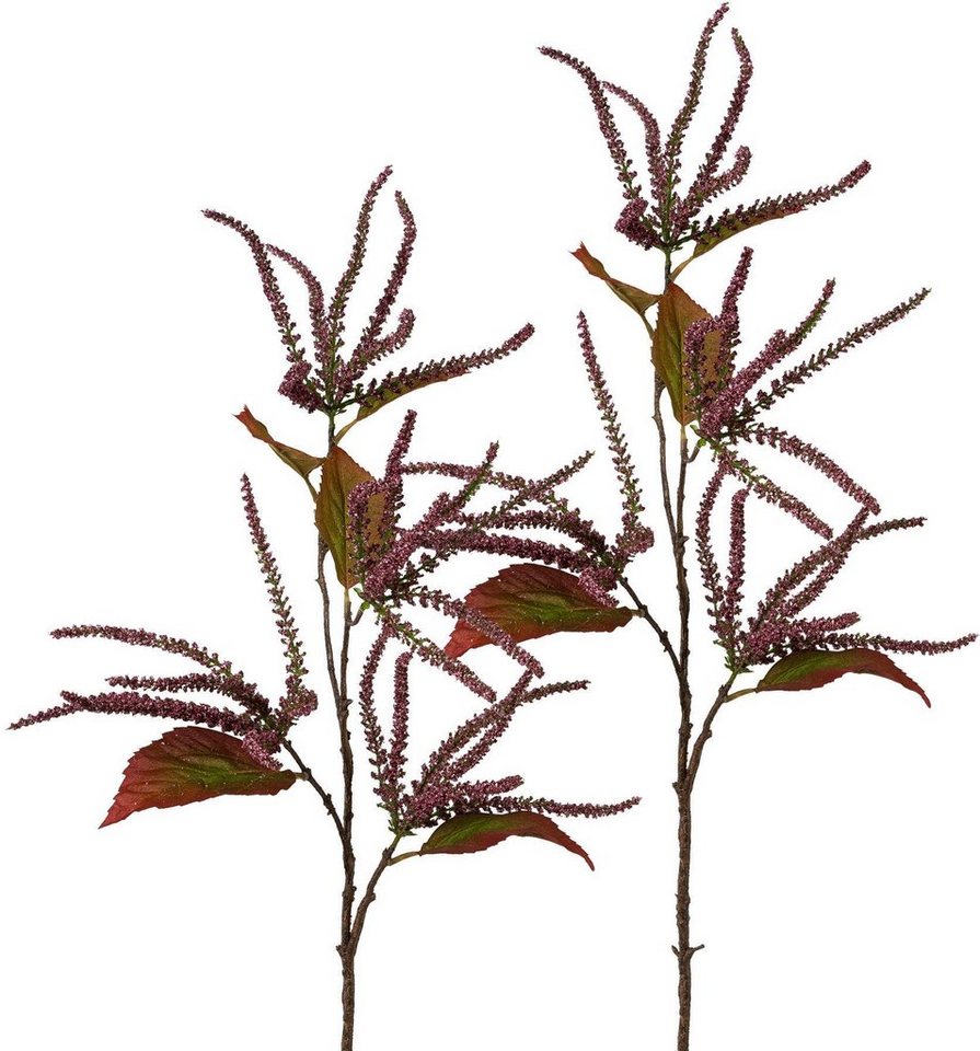 Kunstzweig »Amaranthus«, Creativ deco, Höhe 86 cm-HomeTrends