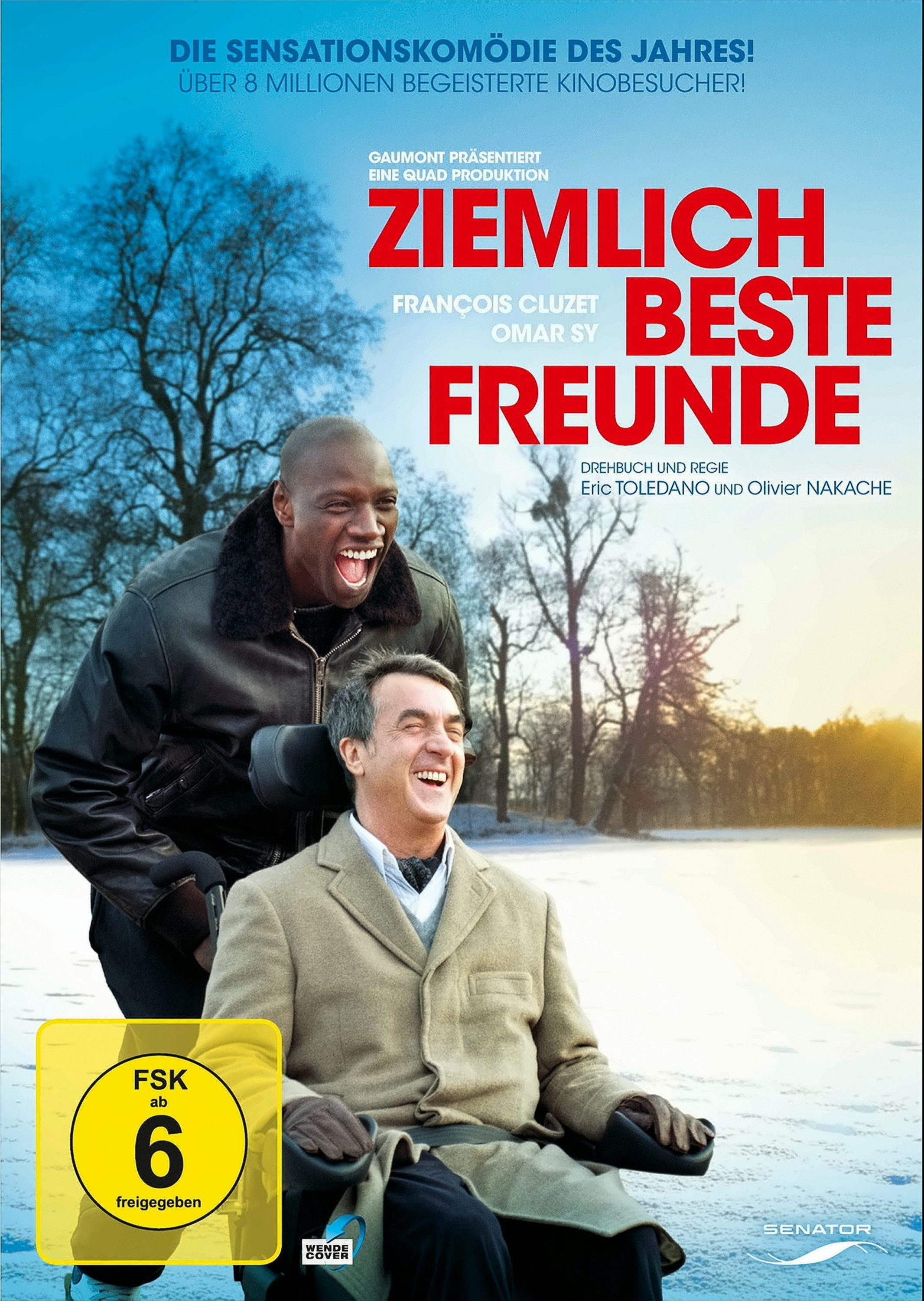 Sony DVD Ziemlich beste Freunde