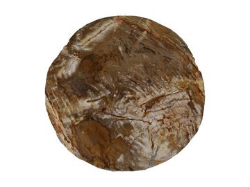 Natur24 Couchtisch Beistelltisch Fossil Versteinertes Holz 50x38 cm Unikat Schwarz