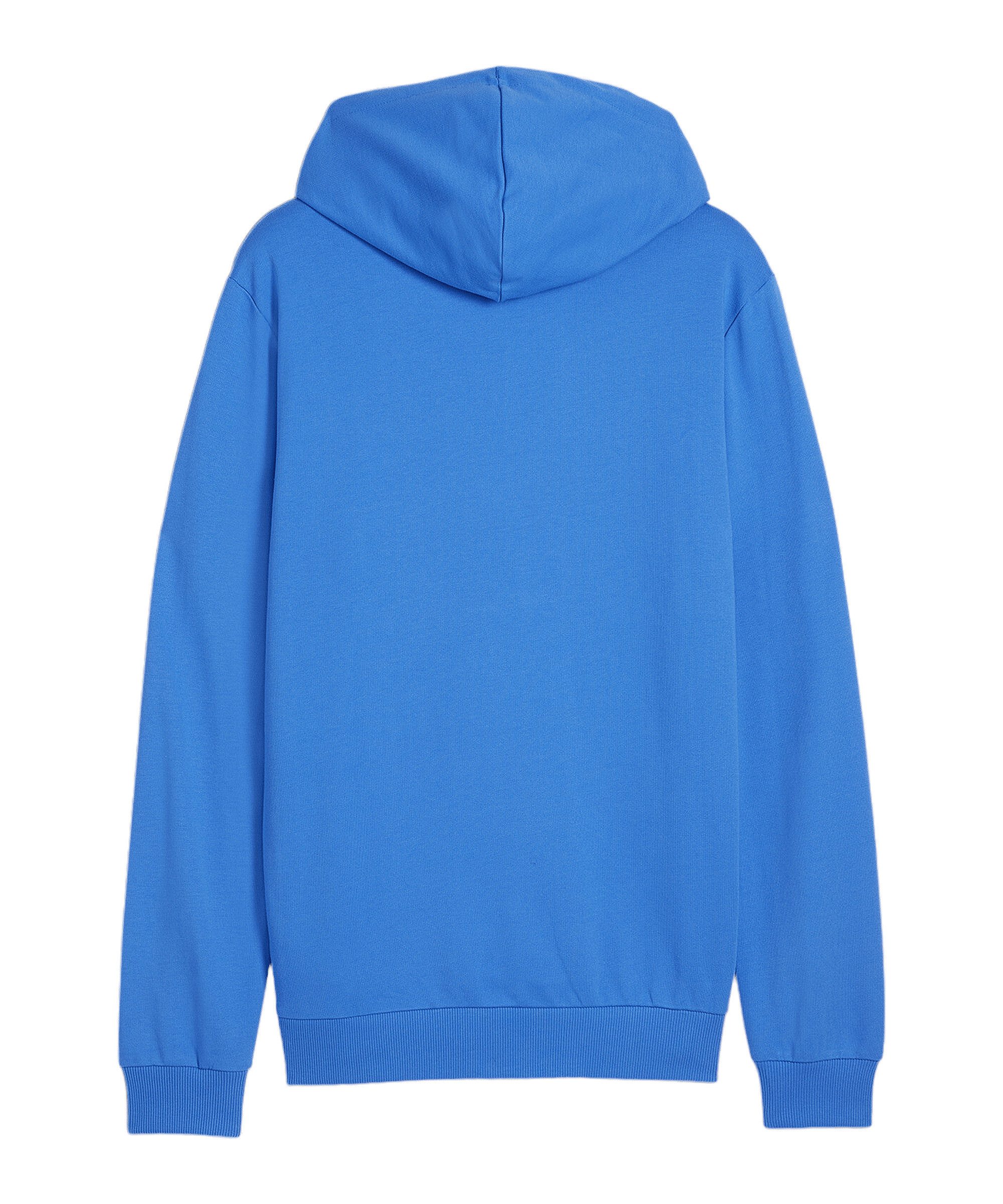 PUMA Sweatshirt PUMA teamGOAL Casuals Hoody günstig online kaufen